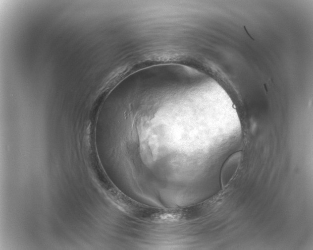 X0000054440163200508051908