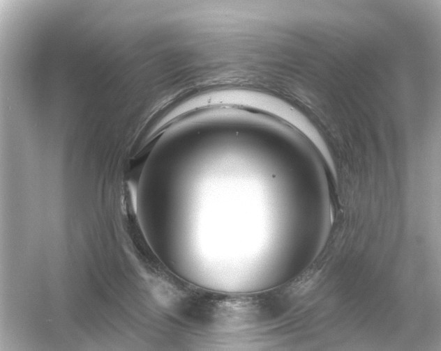 X0000054440164200508051908