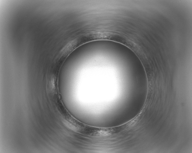 X0000054440166200508051908