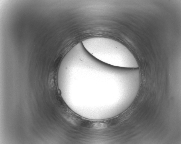 X0000054440169200508051908