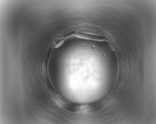 X0000054440173200508051908