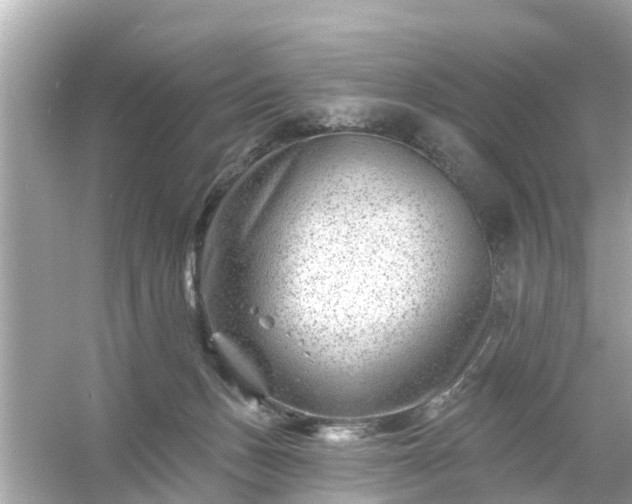 X0000054440175200508051908