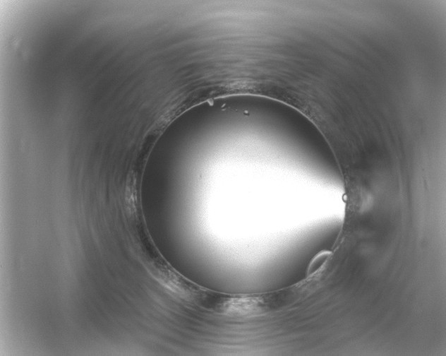 X0000054440179200508051908