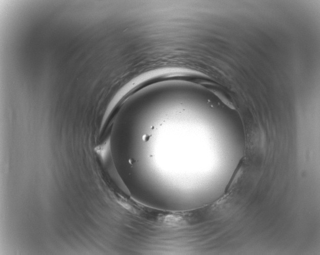 X0000054440180200508051908