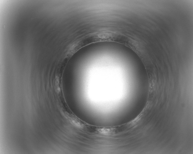 X0000054440187200508051908