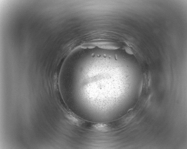 X0000054440189200508051908