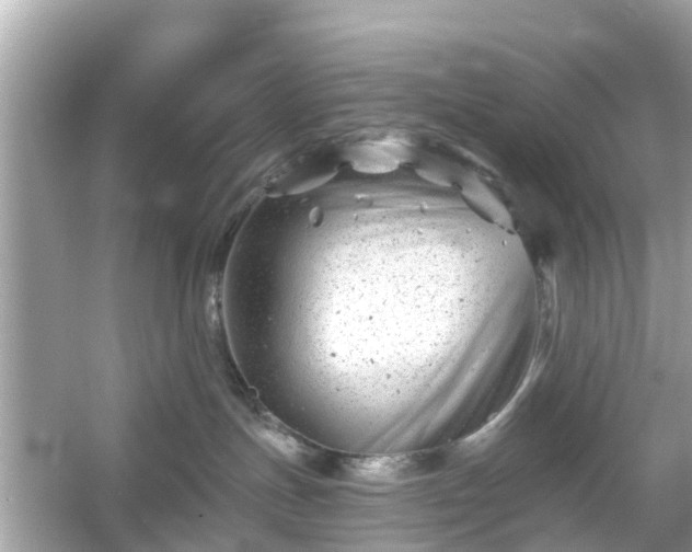 X0000054440191200508051908