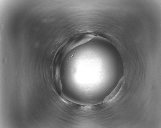 X0000054440192200508051908