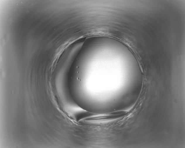 X0000054440193200508051907