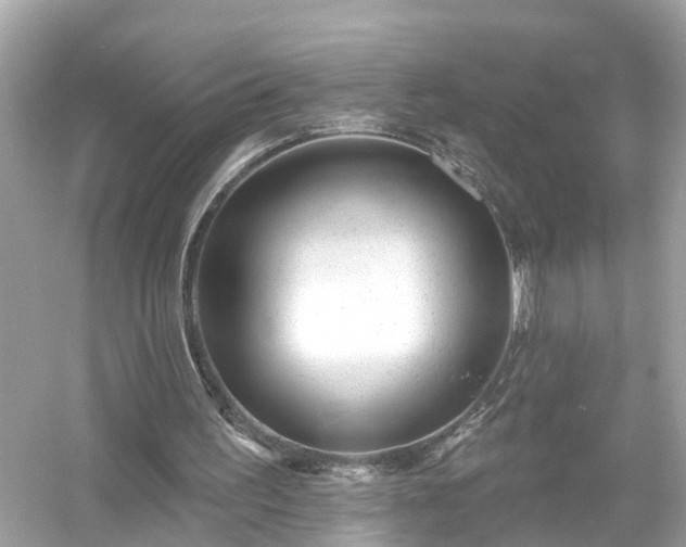 X0000054440195200508051907