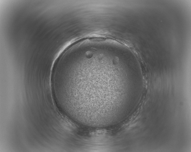 X0000054440196200508051907