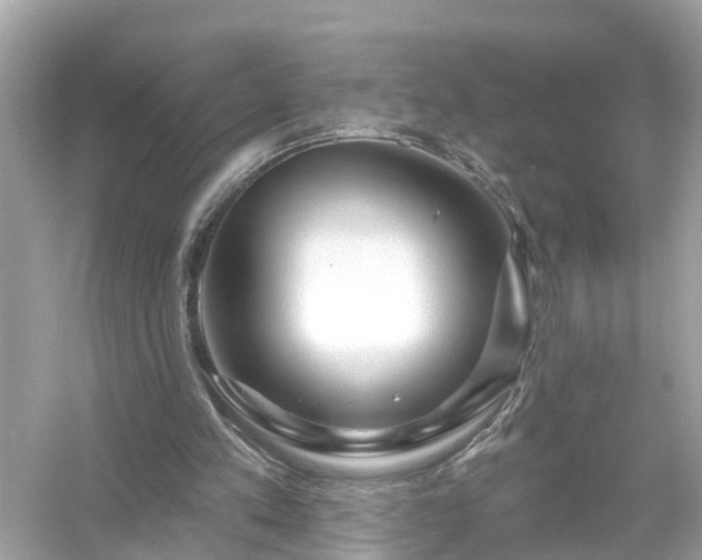 X0000054440197200508051907