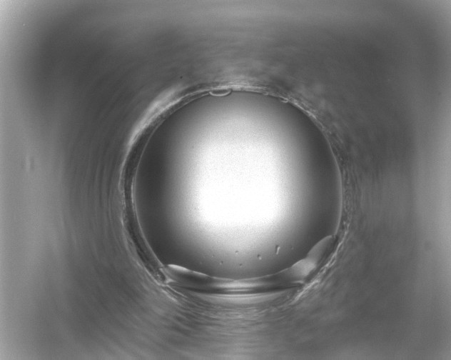 X0000054440198200508051907