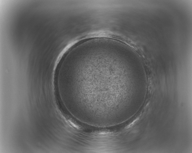 X0000054440200200508051907