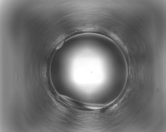 X0000054440201200508051907