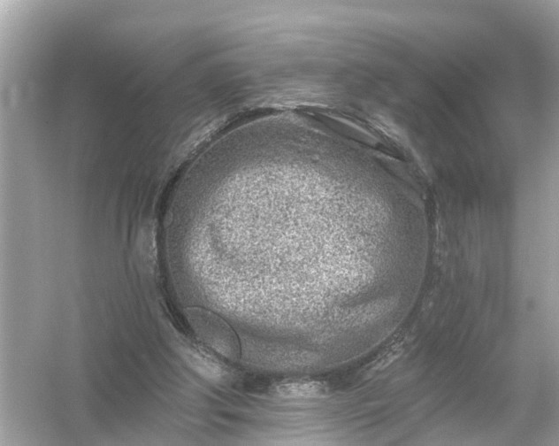 X0000054440202200508051907