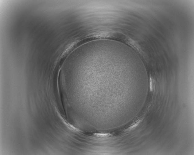 X0000054440205200508051907