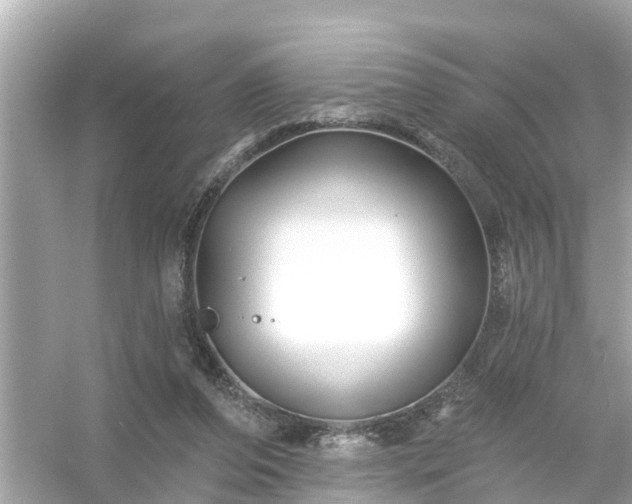 X0000054440208200508051907