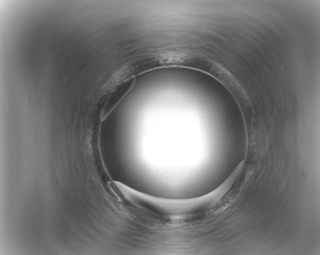 X0000054440209200508051907