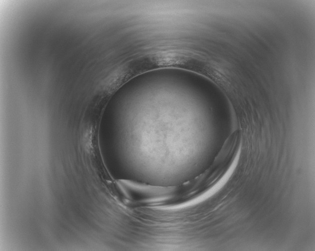 X0000054440219200508051907