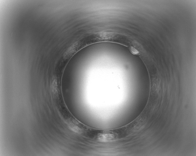 X0000054440220200508051907