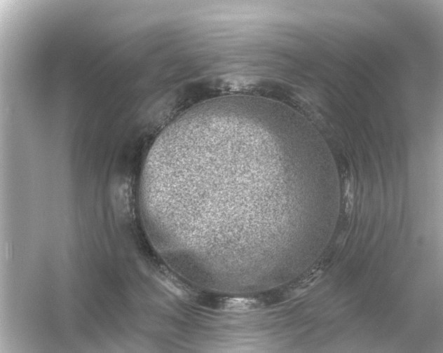 X0000054440222200508051907