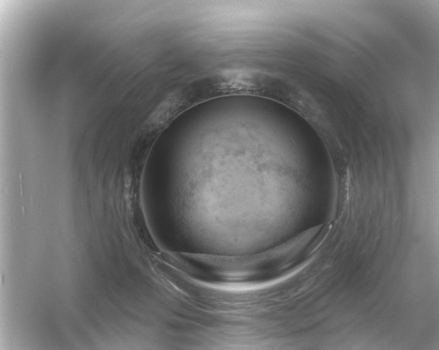 X0000054440223200508051907