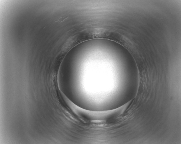 X0000054440225200508051907