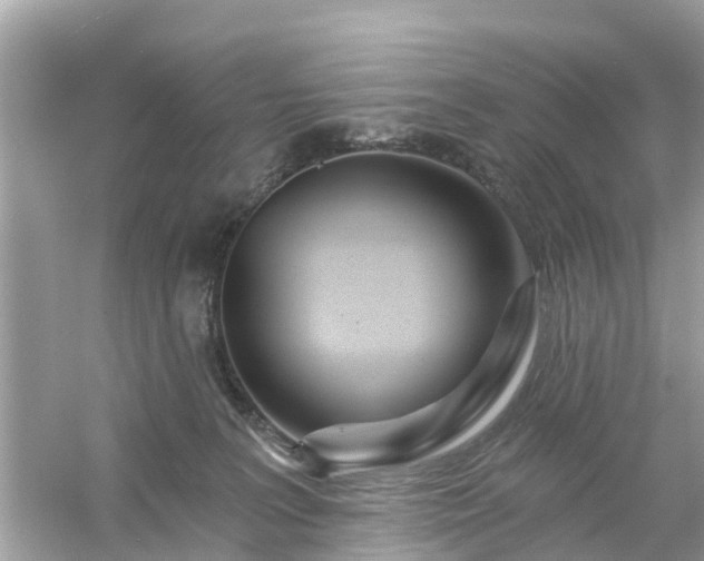 X0000054440227200508051907