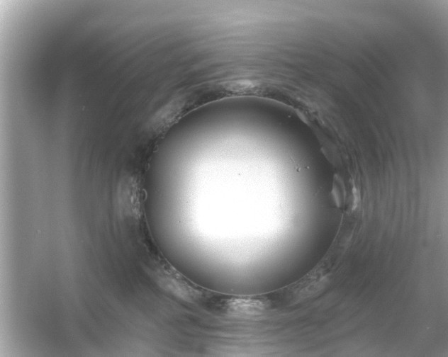 X0000054440234200508051907