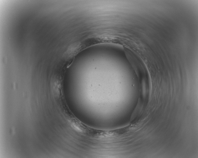 X0000054440235200508051907