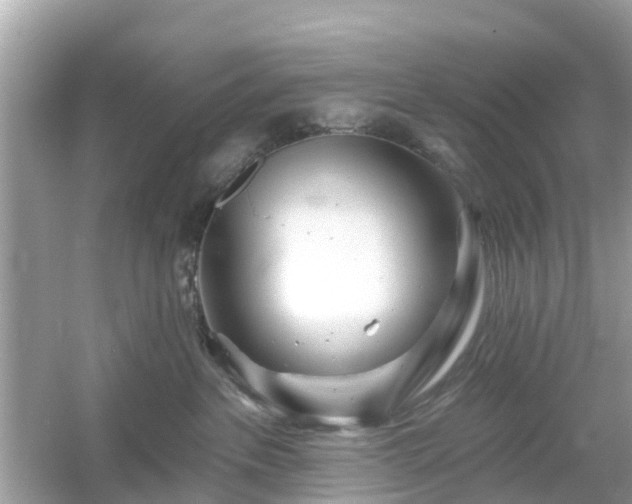 X0000054440237200508051907