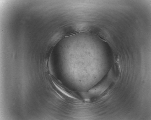 X0000054440239200508051907