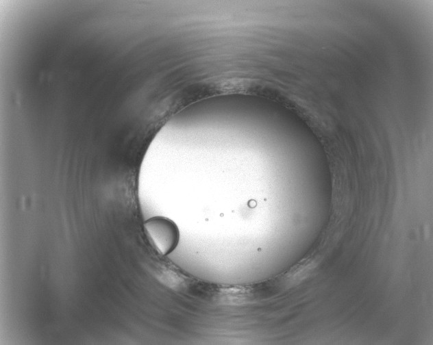 X0000054440240200508051907