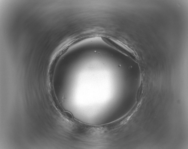 X0000054440245200508051906