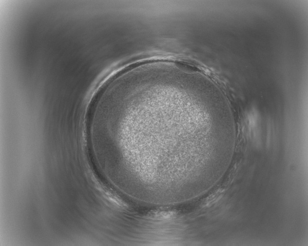 X0000054440247200508051906