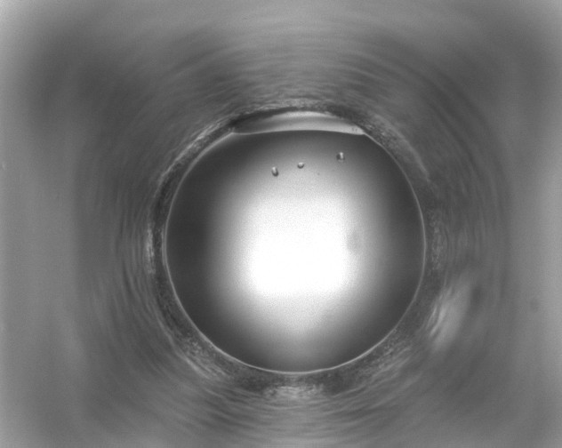 X0000054440251200508051906