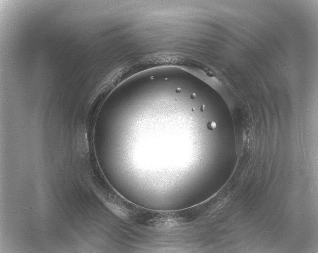 X0000054440254200508051906