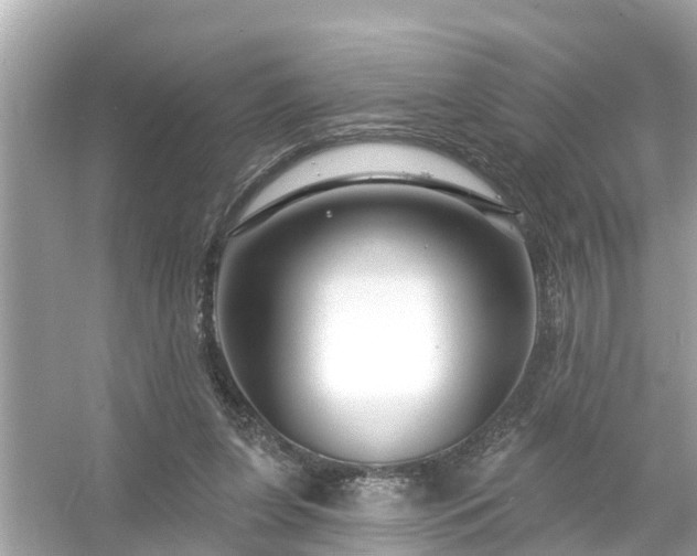 X0000054440255200508051906