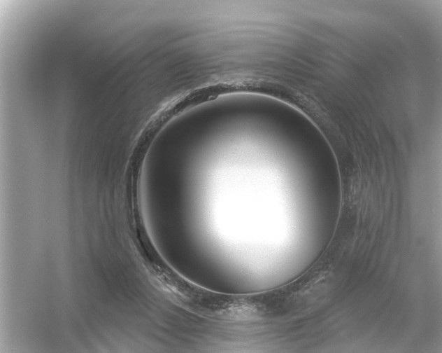 X0000054440256200508051906