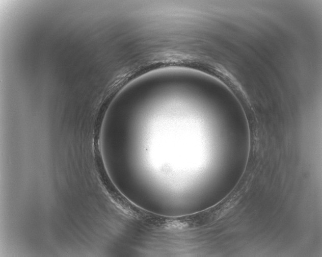 X0000054440257200508051906