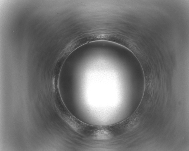 X0000054440262200508051906