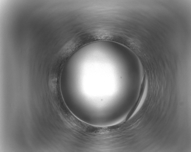 X0000054440263200508051906