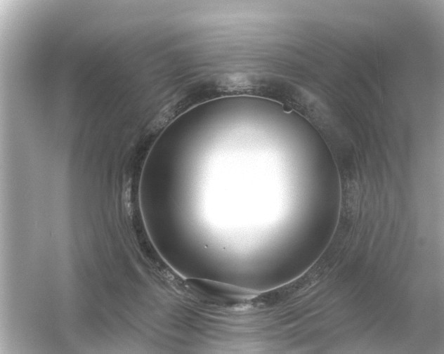 X0000054440267200508051906