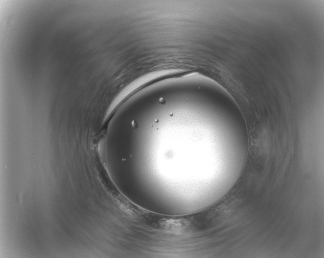 X0000054440277200508051906