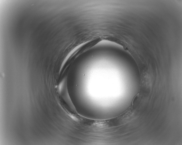 X0000054440280200508051907