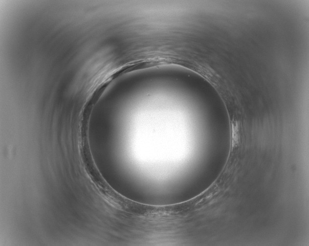 X0000054440291200508051906