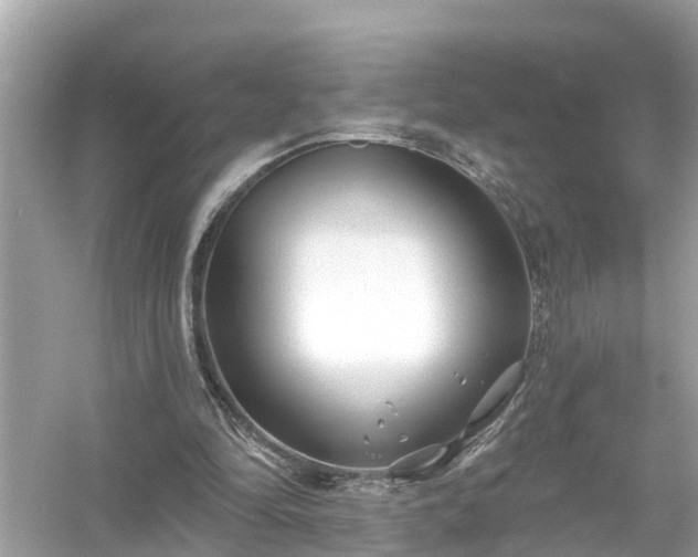 X0000054440294200508051906