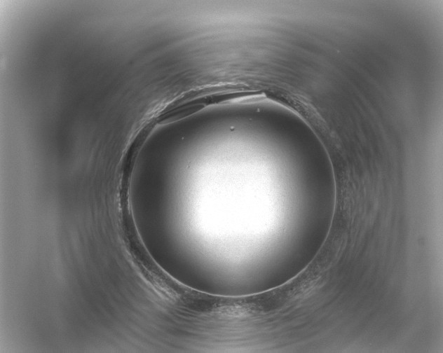 X0000054440299200508051906