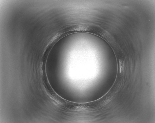 X0000054440300200508051906